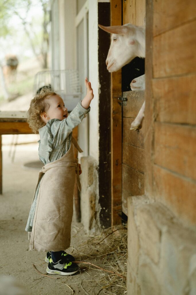 pexels-photo-7673836-7673836 A delightful scene of a child interacting with a goat in a barn, capturing farm life joy.
